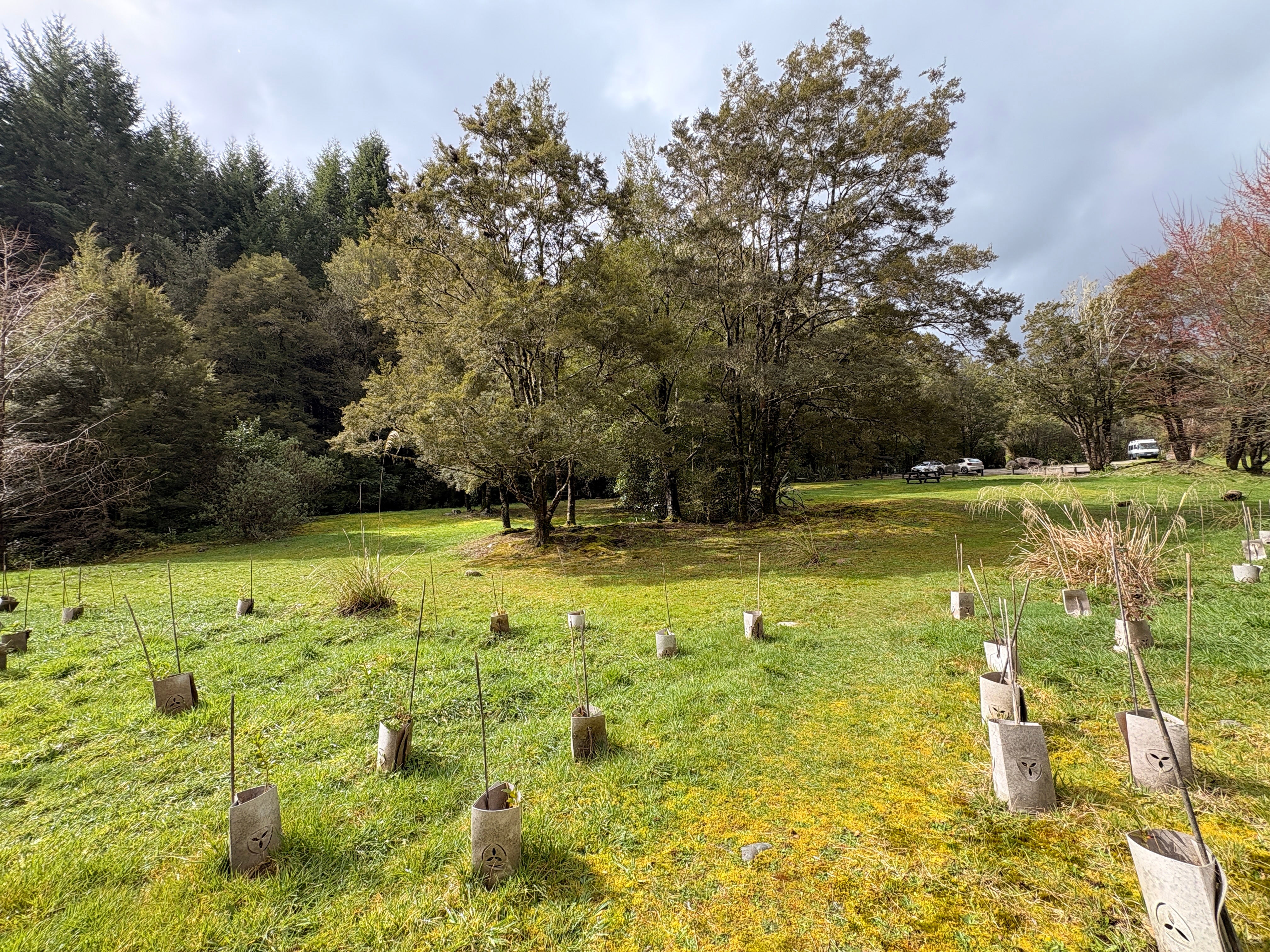 Slab Hut Creek Campsite